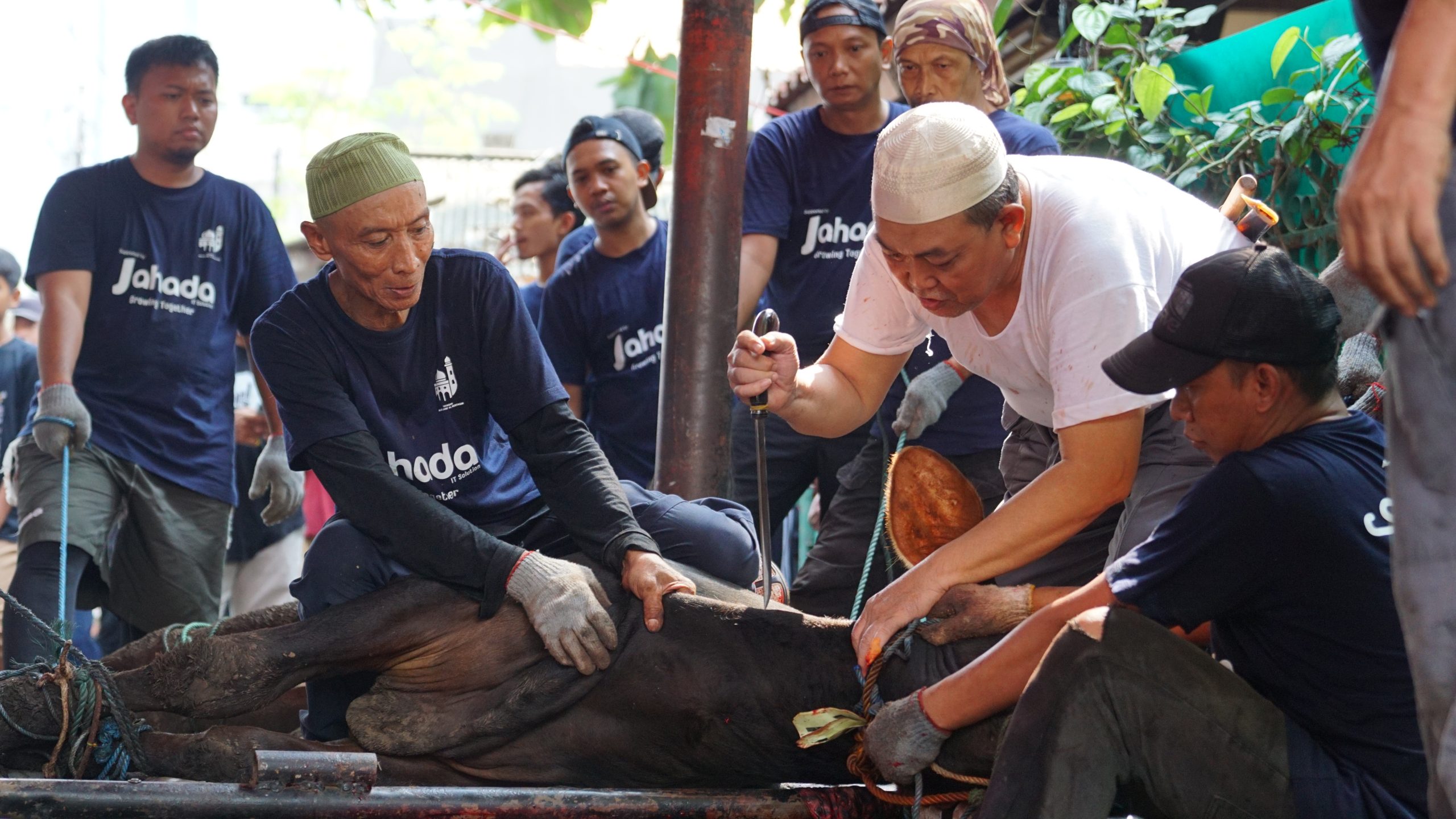 CSR Qurban, Menebar Manfaat Melalui Corporate Social Responsibility